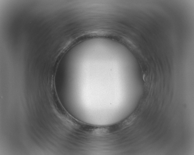 X0000064040168200601270941