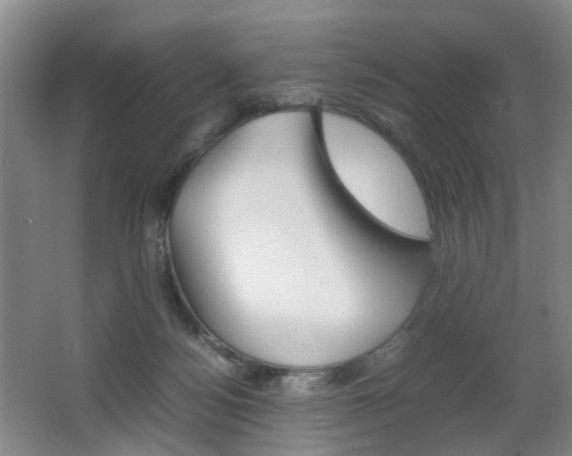 X0000064040172200601270941