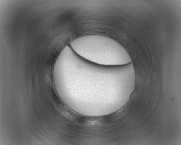 X0000064040175200601270941