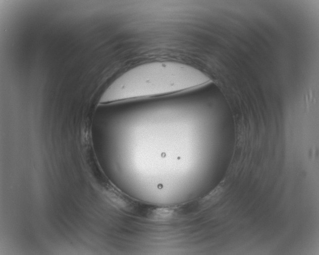 X0000064040176200601270941