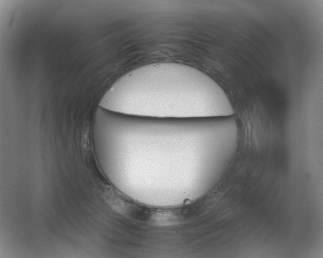 X0000064040177200601270942