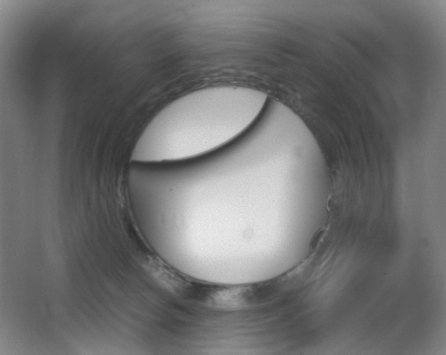 X0000064040178200601270942