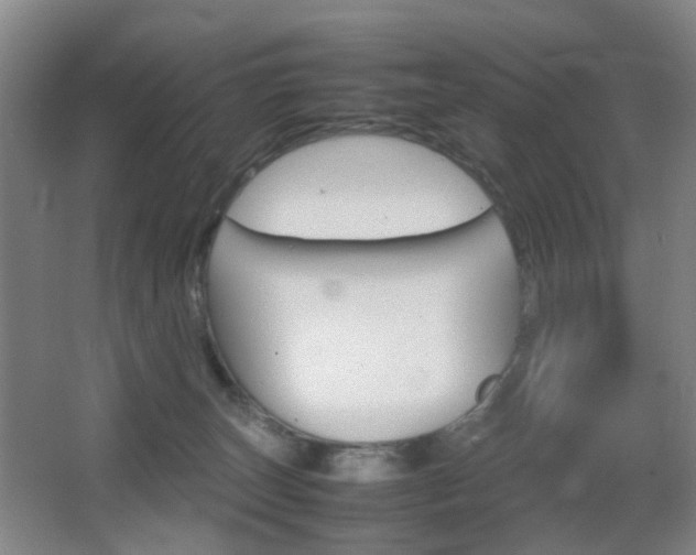 X0000064040179200601270942