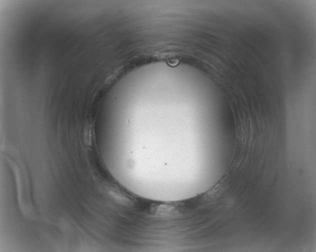 X0000064040180200601270942