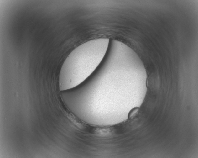 X0000064040181200601270942