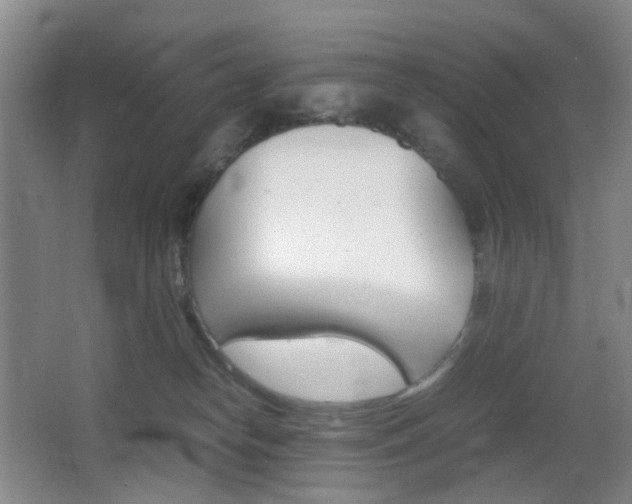 X0000064040182200601270942