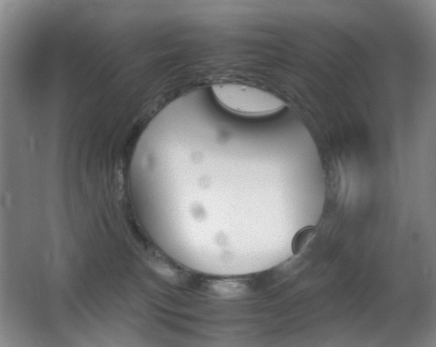 X0000064040183200601270942