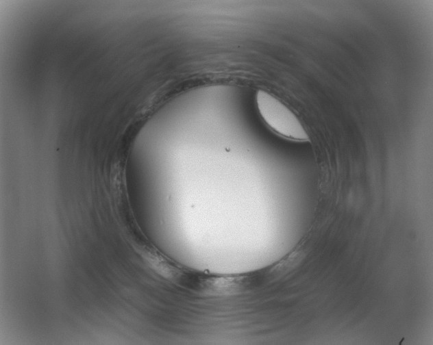 X0000064040184200601270942