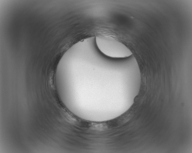 X0000064040185200601270942