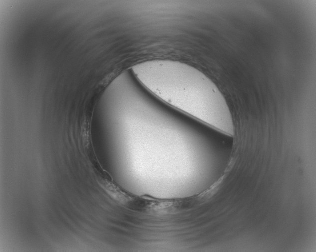 X0000064040186200601270942