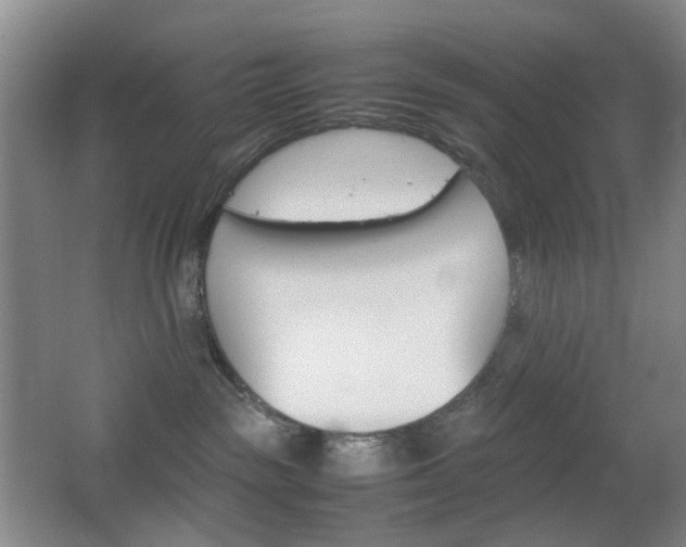 X0000064040189200601270942