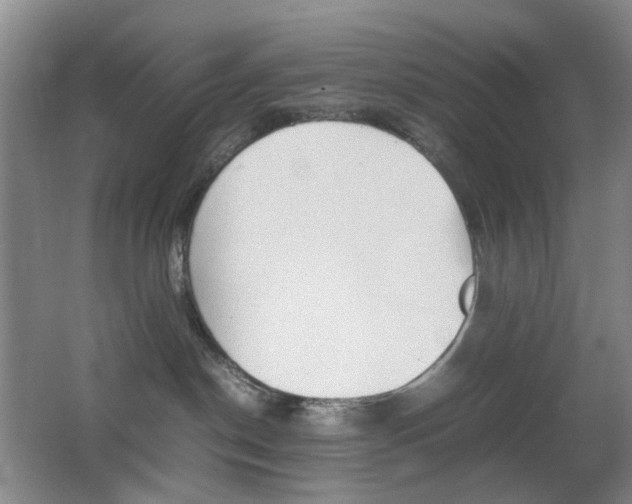 X0000064040190200601270942