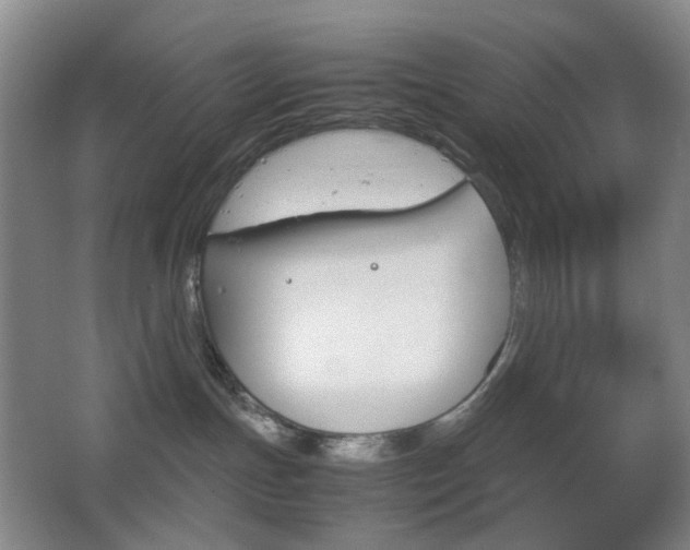 X0000064040191200601270942