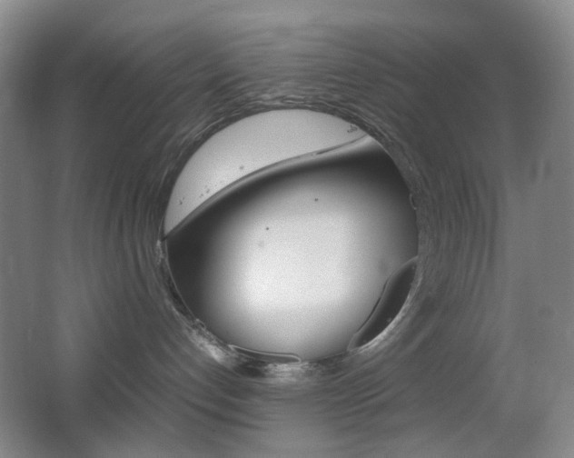 X0000064040192200601270942