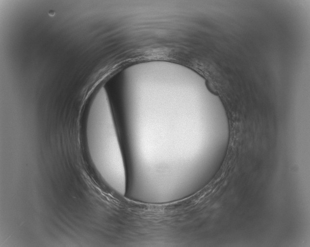 X0000064040194200601270941