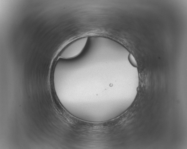 X0000064040196200601270941