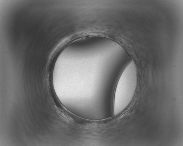 X0000064040197200601270941