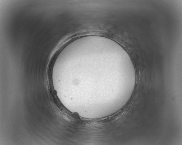 X0000064040198200601270941