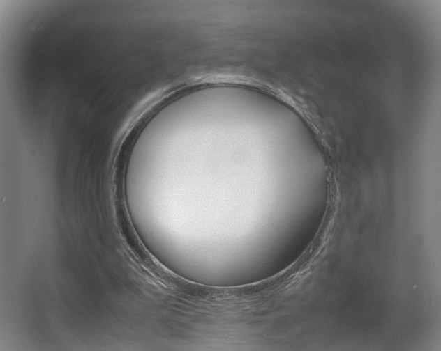 X0000064040199200601270941