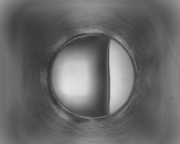 X0000064040201200601270941