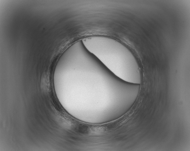 X0000064040202200601270941