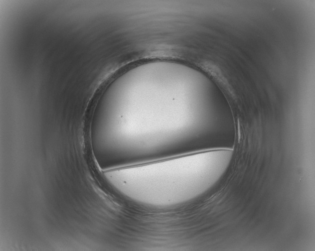 X0000064040204200601270941