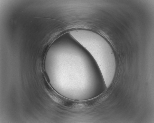 X0000064040205200601270941