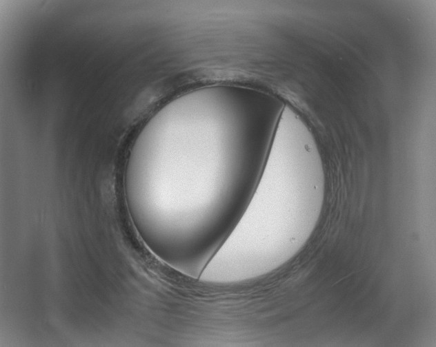 X0000064040207200601270941