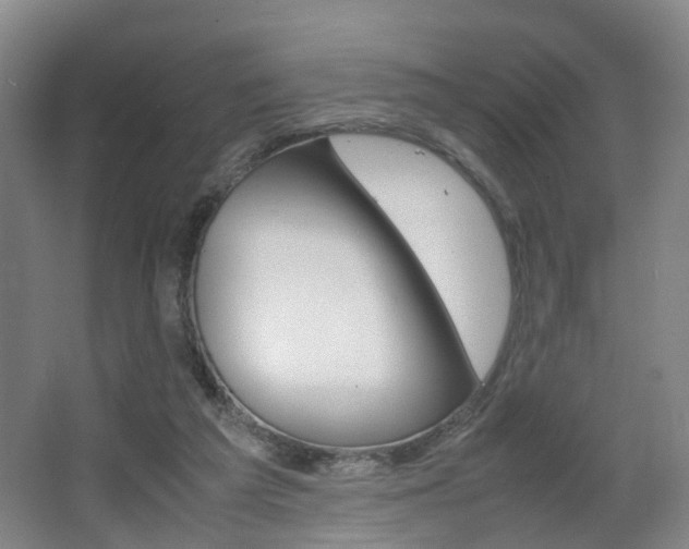 X0000064040209200601270941