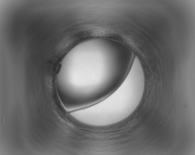 X0000064040211200601270941