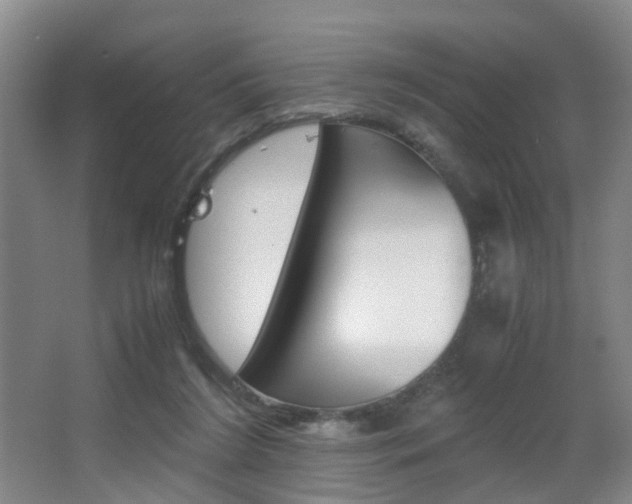 X0000064040212200601270941