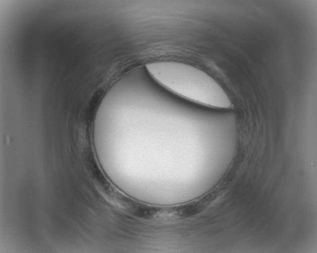 X0000064040213200601270941