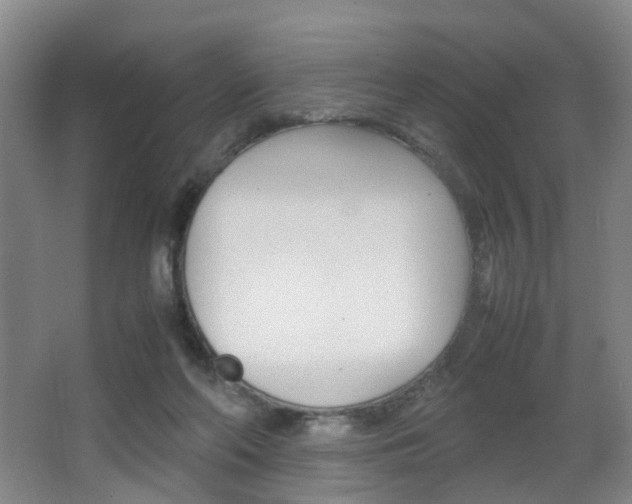 X0000064040214200601270941