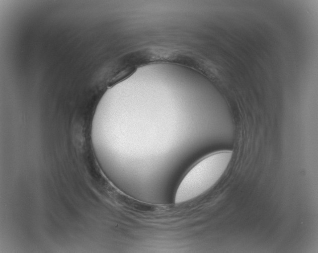 X0000064040215200601270941