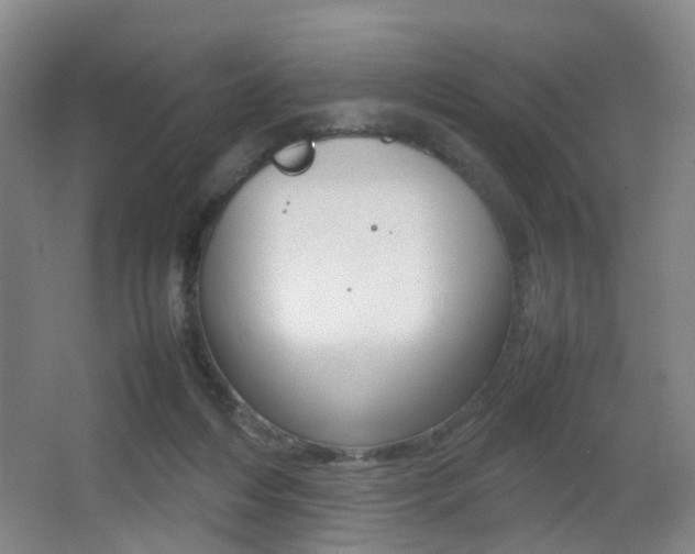 X0000064040216200601270941