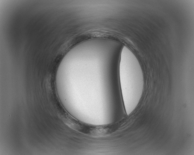 X0000064040217200601270941