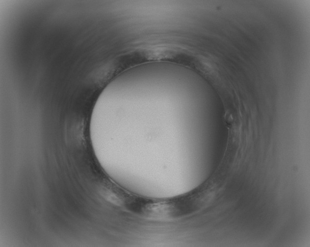 X0000064040219200601270941