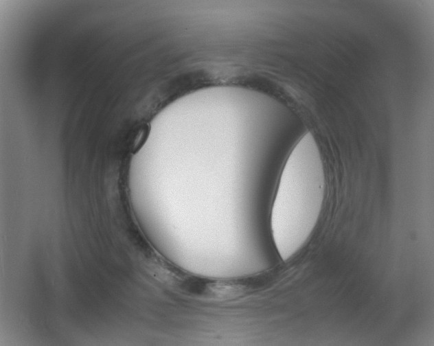 X0000064040221200601270940