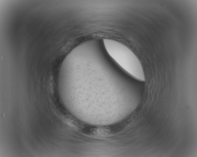 X0000064040223200601270940