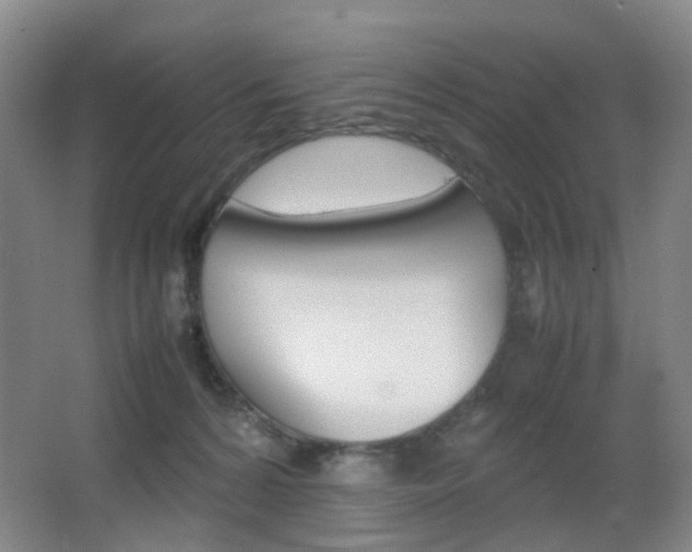 X0000064040224200601270940