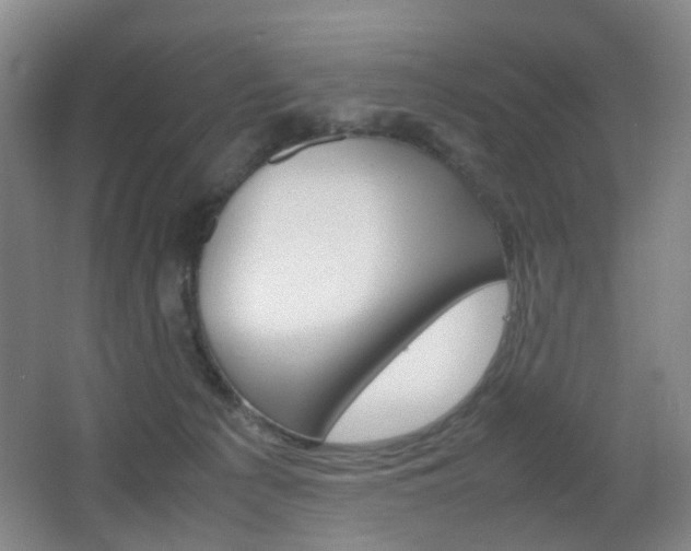 X0000064040225200601270940