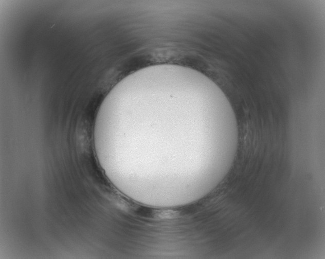 X0000064040226200601270940