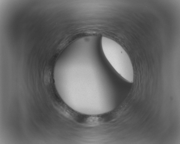 X0000064040227200601270940