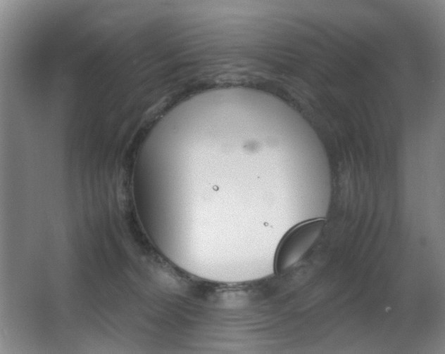 X0000064040228200601270940