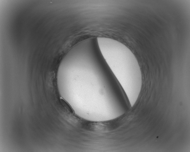 X0000064040229200601270940