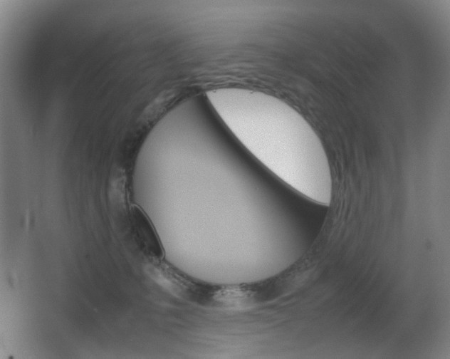 X0000064040231200601270940