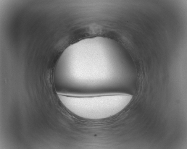 X0000064040233200601270940