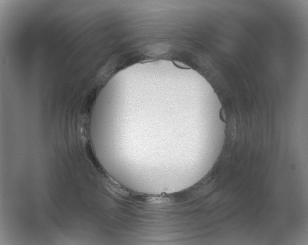 X0000064040234200601270940