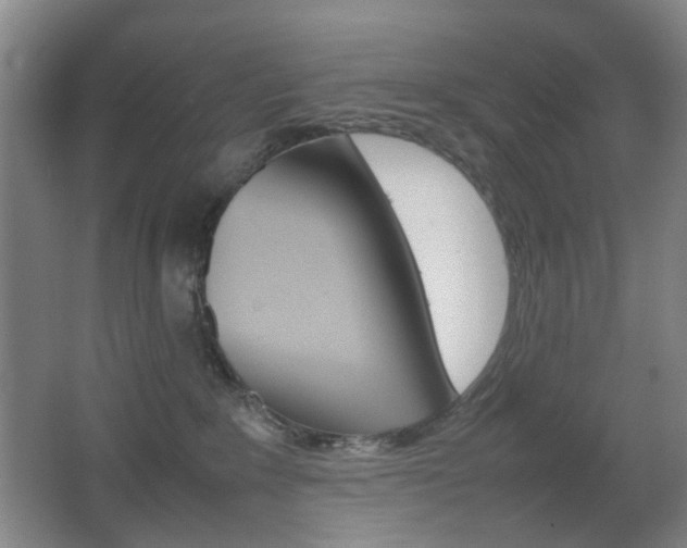 X0000064040235200601270940