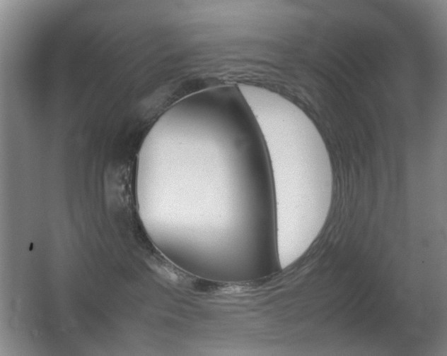 X0000064040237200601270940